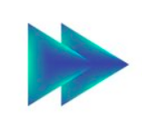 Anthill Studio