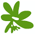 Mangrove Capital Partners