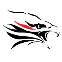 The Delavaco Group