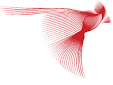 RedBird Capital Partners