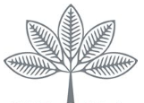 Sirona Capital