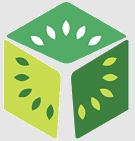 Treemark Capital
