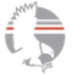 Talon Group