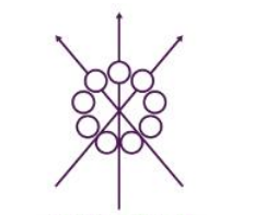White City Ventures