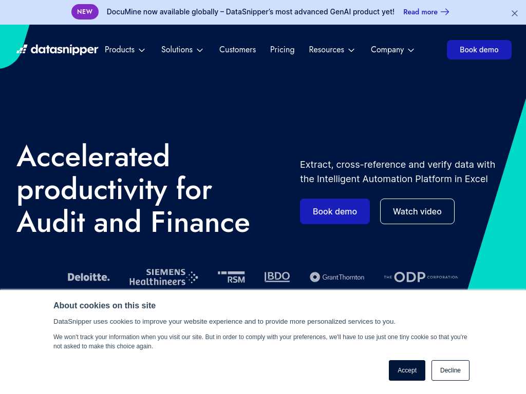Screenshot of the website of DataSnipper