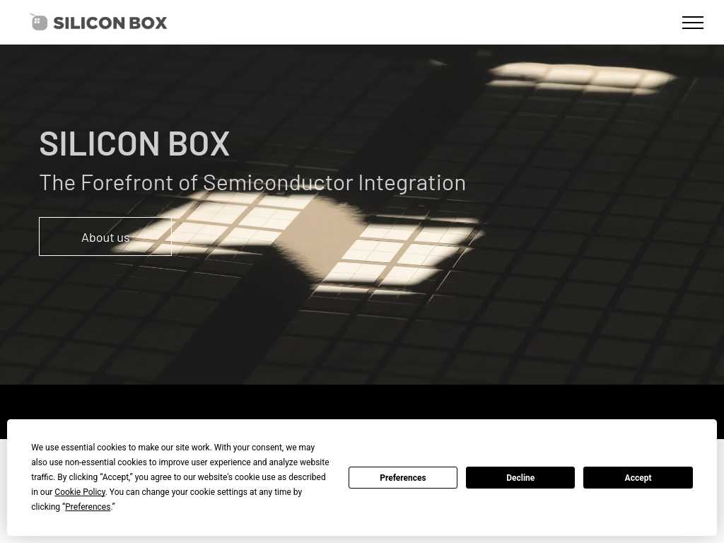 Screenshot of the website of Silicon Box