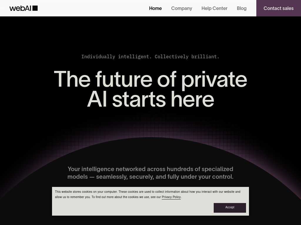 Screenshot of the website of webAI