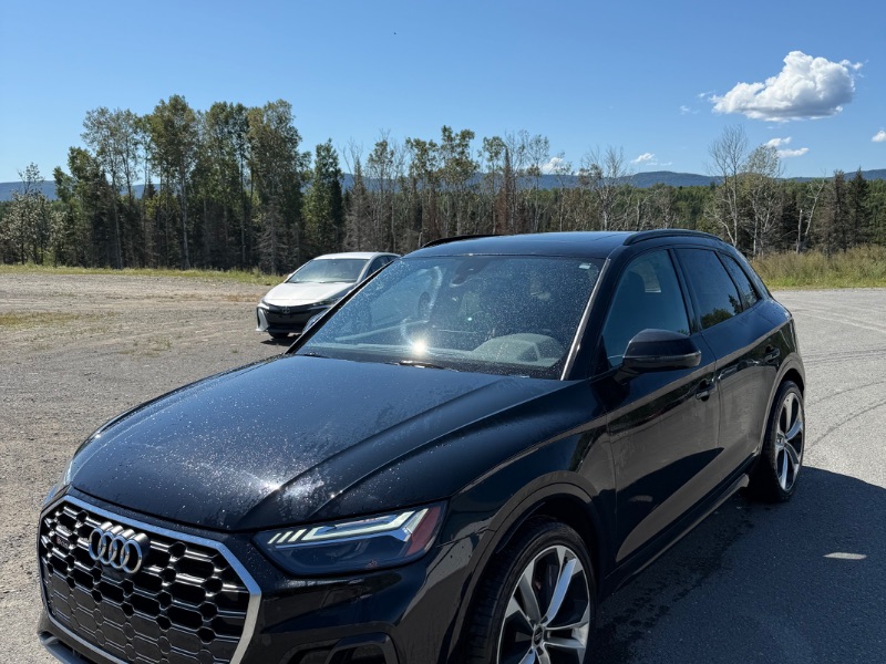 AUDI SQ5/Q5 TECHNIK 2021 with VIN WA1C4AFY4M2024665 - Photo from auction