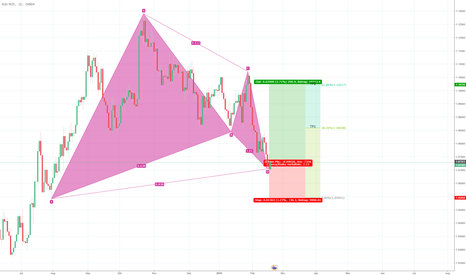 AUDNZD: AUDNZD Abgeschlossenes Harmonisches Muster