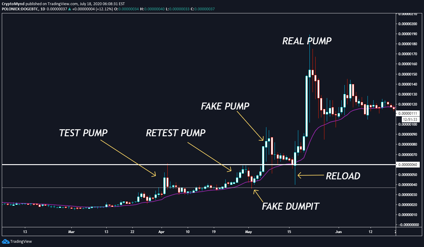 Poloniex Btc Doge Chart Published On Coinigy Com On June 2nd 2020 At 6 10 Pm