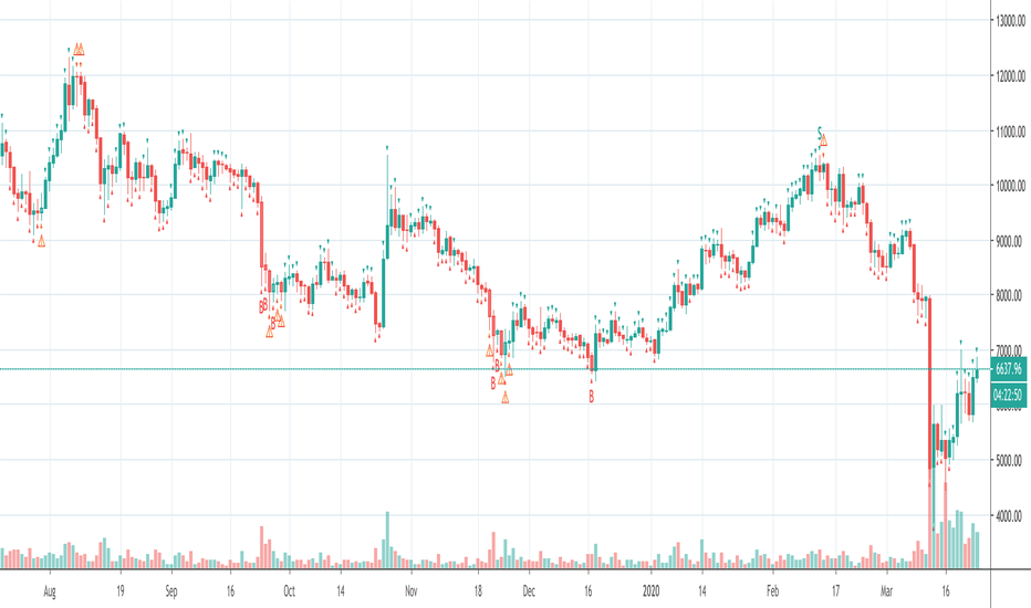 BTCUSD: Daily Number Indicator (TD Sequential)