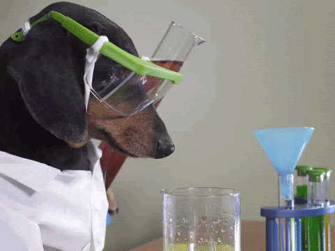 Image for Dog Scene question