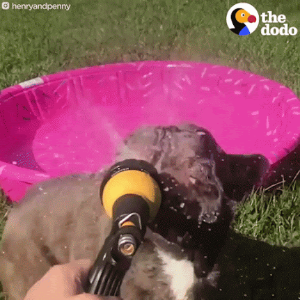 Image for Outside Scene question