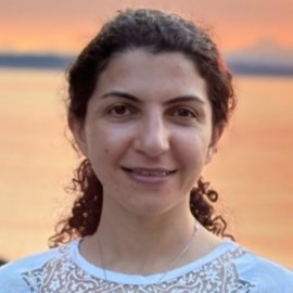 Farnaz ronaghi