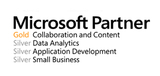 Micro soft partner netwoven1