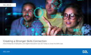 D2l   skills connection   strategy guide   google 
