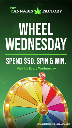 00CB3134DOOH_SpinTheWheel_VisitWebsite_1080x1920.jpg