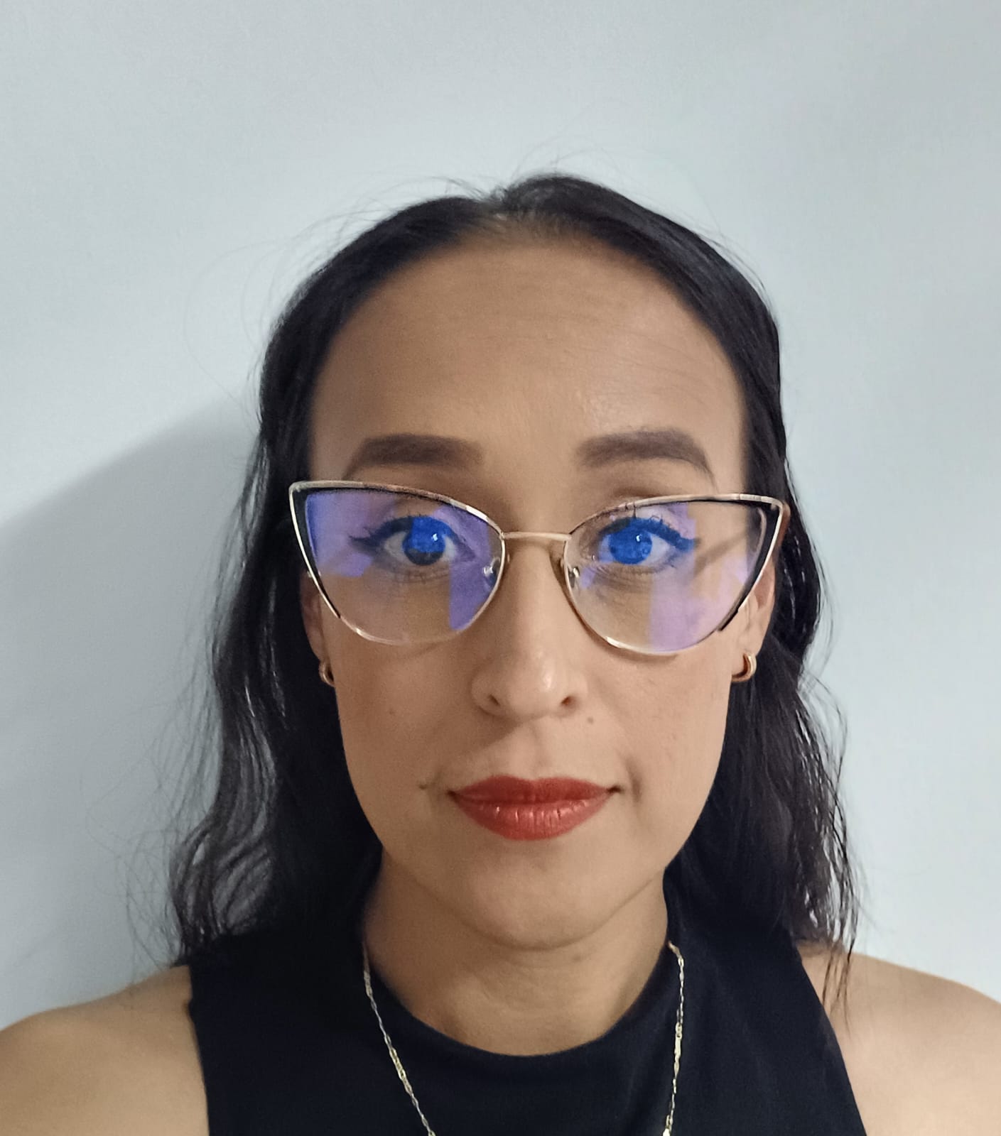 Ing. Erika Cervantes Cardoza