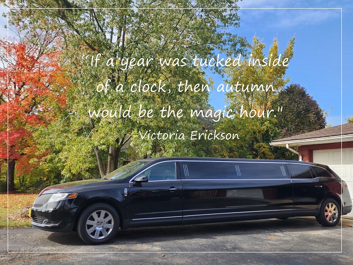 Limousine And Car Service