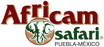 africam safari de puebla