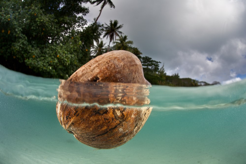 21 Bora Bora Facts History, Information and Fun Travel Croc