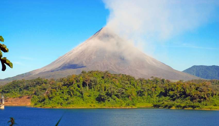 Costa Rica Wildlife