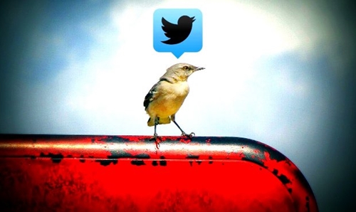 Twitter-Promode-Mode