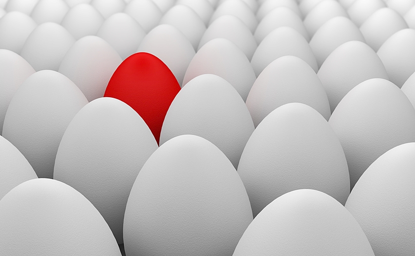 Influencer Marketing
