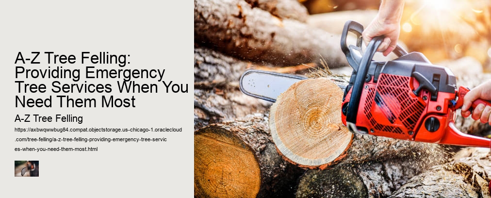 A-Z Tree Felling: Providing Emergency Tree Services When You Need Them Most