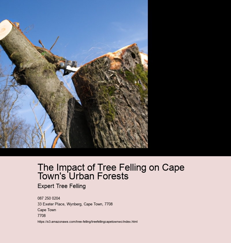 The Impact of Tree Felling on Cape Town's Urban Forests