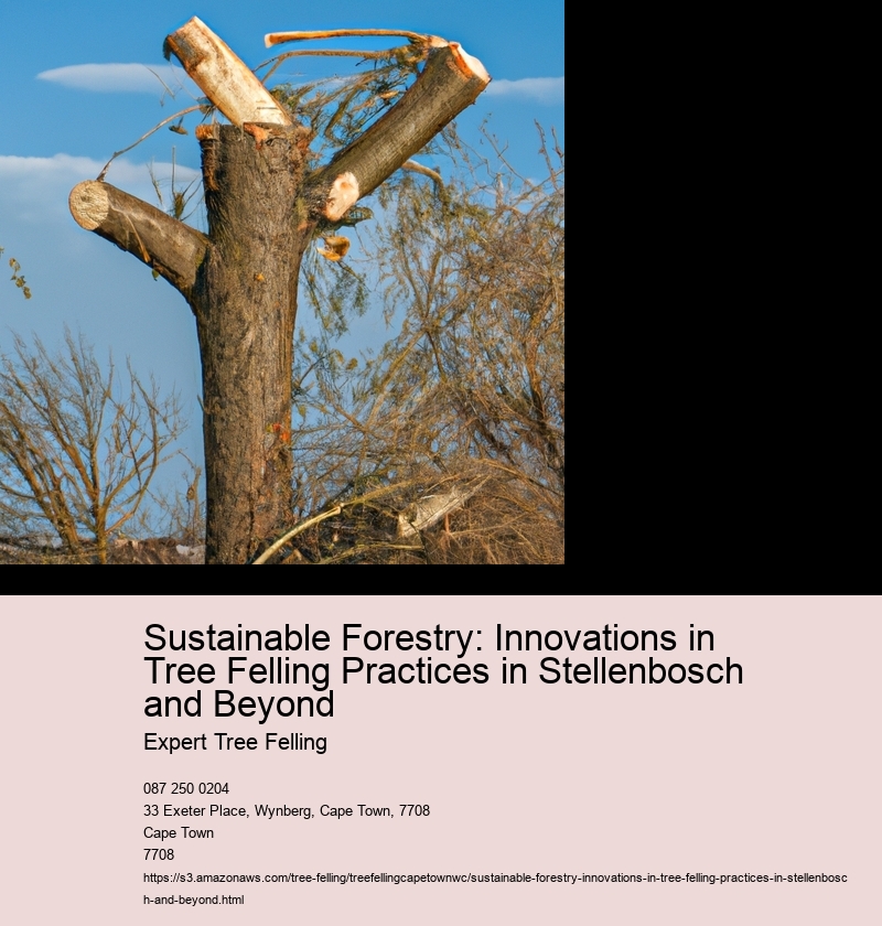Sustainable Forestry: Innovations in Tree Felling Practices in Stellenbosch and Beyond