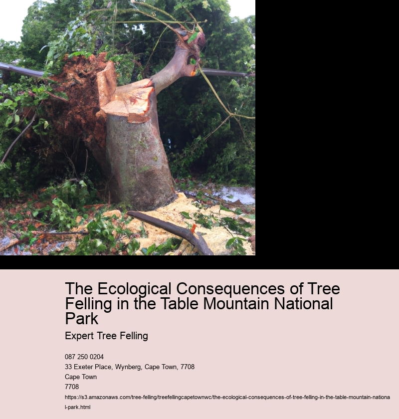 The Ecological Consequences of Tree Felling in the Table Mountain National Park