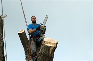 moreland