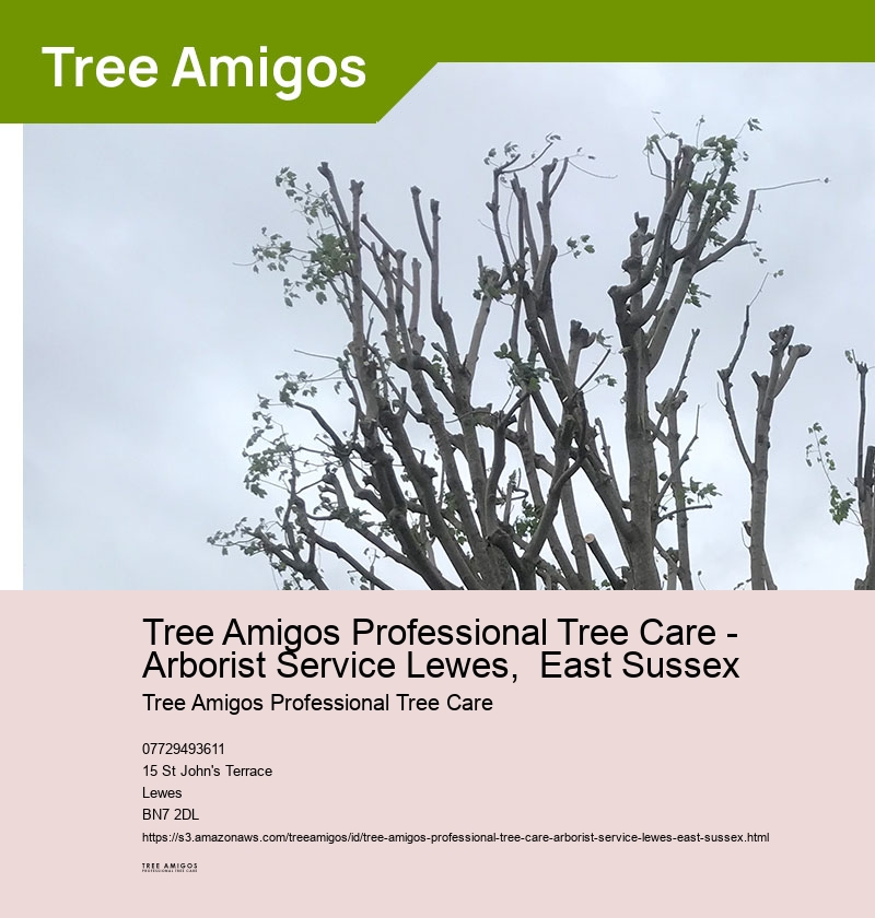 Tree Amigos Professional Tree Care - Arborist Service Lewes,  East Sussex