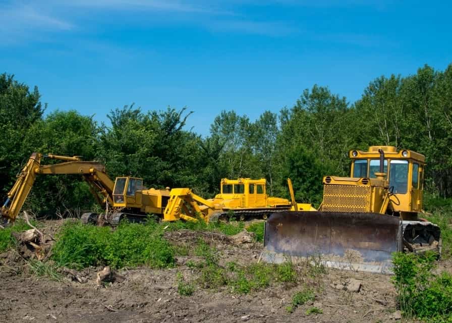 fallen tree removal responsibility victoria