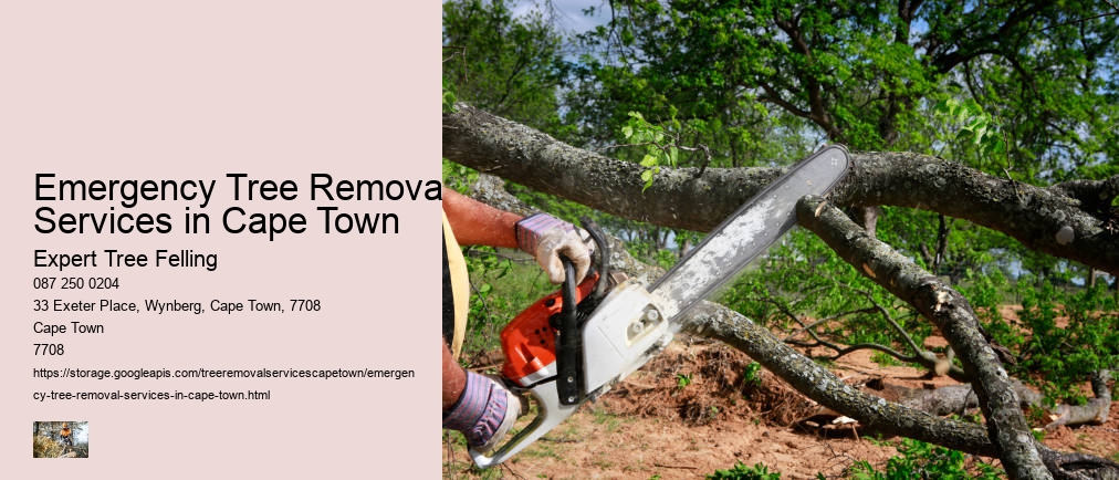 Emergency Tree Removal Services in Cape Town