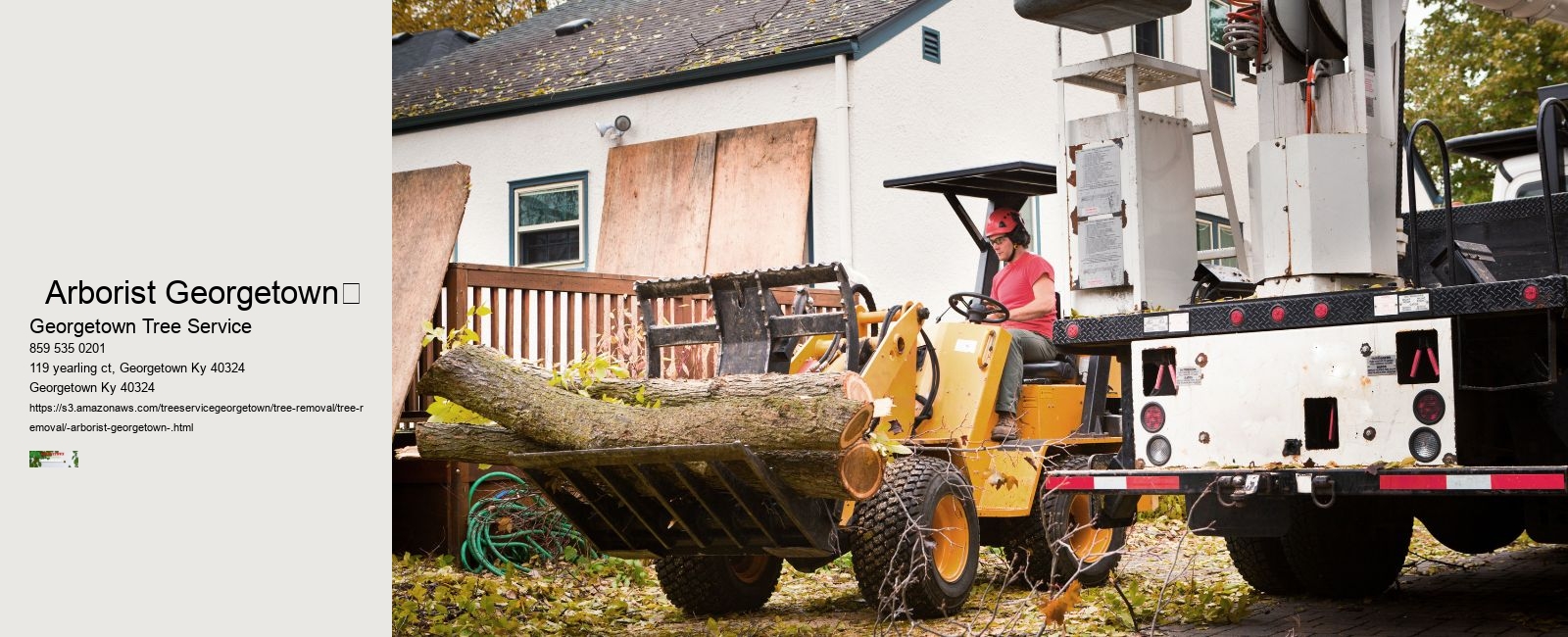   Arborist Georgetown	 
