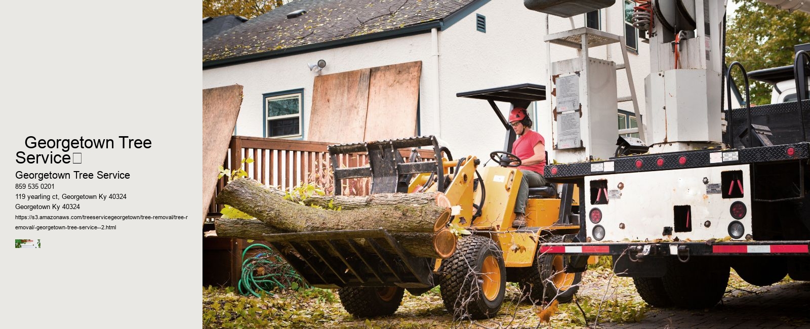   Georgetown Tree Service	 