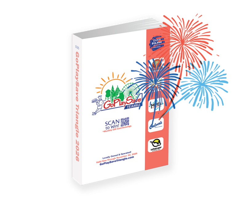 Go Play Save Book