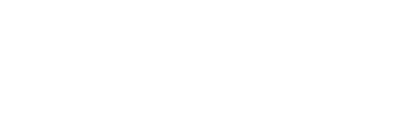 Tribute Store
