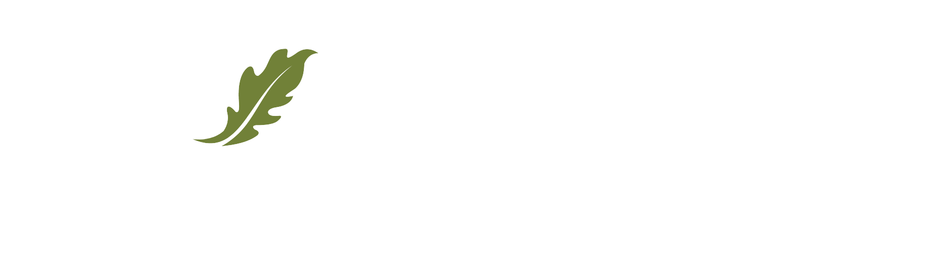 Tribute Store