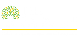 Tribute Store