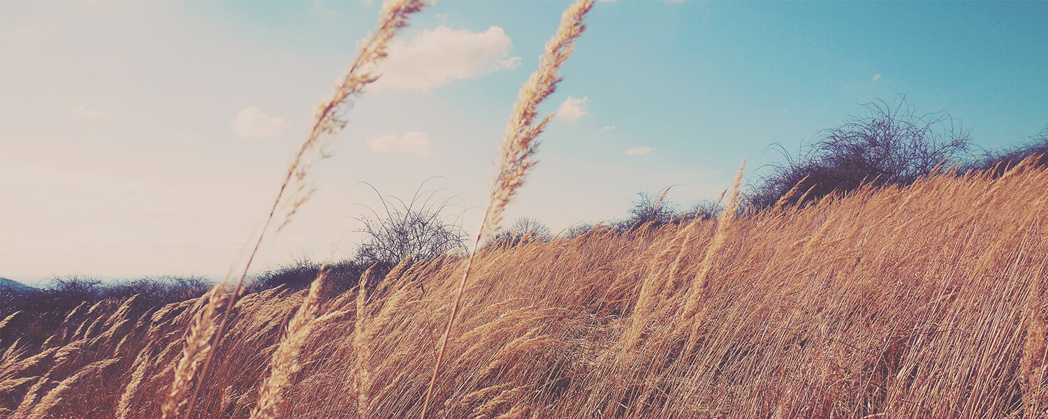 Fletcher and Elgin Funeral Home Fletcher, OK