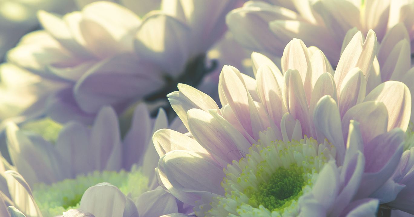 Good Shepherd Funeral Home And Cremation In Omaha Nebraska Good shepherd funeral home and cremation in omaha nebraska