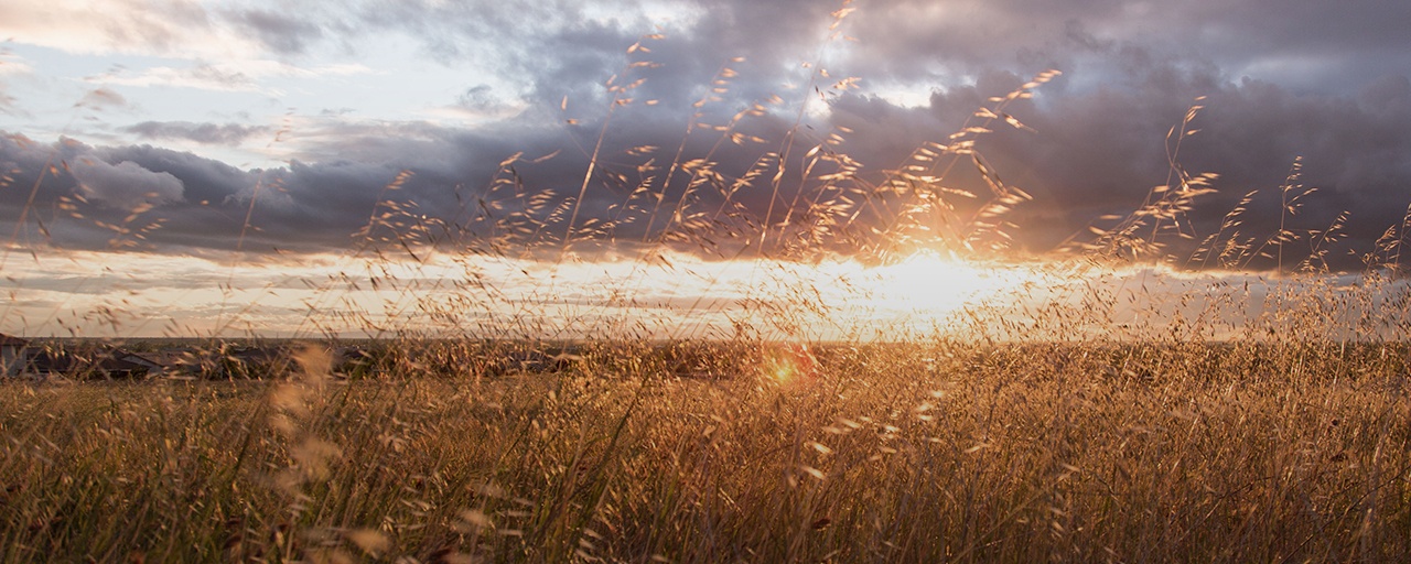 Walters Funeral Home