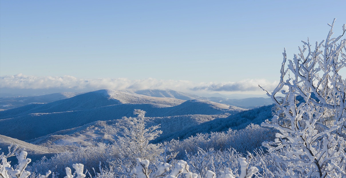 Maggard Funeral Homes Hazard, KY