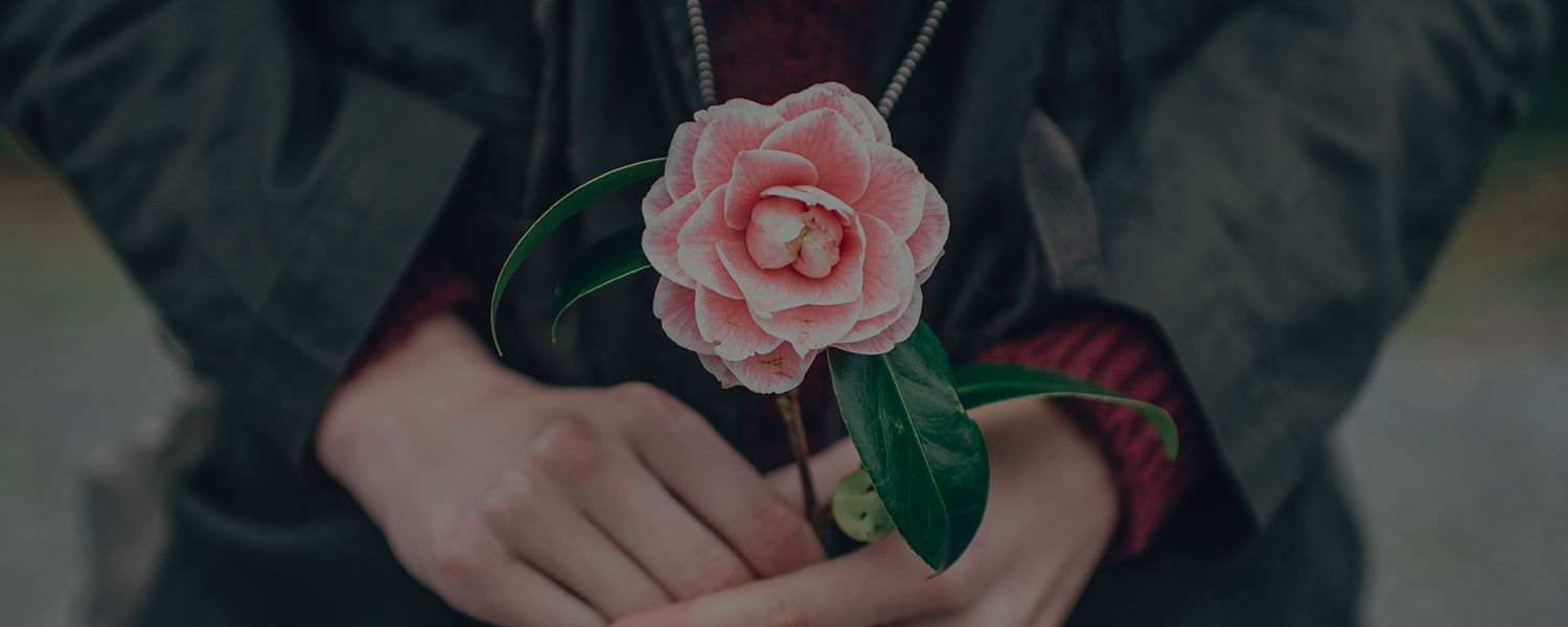 Lamiell Funeral Home | Canton, OH