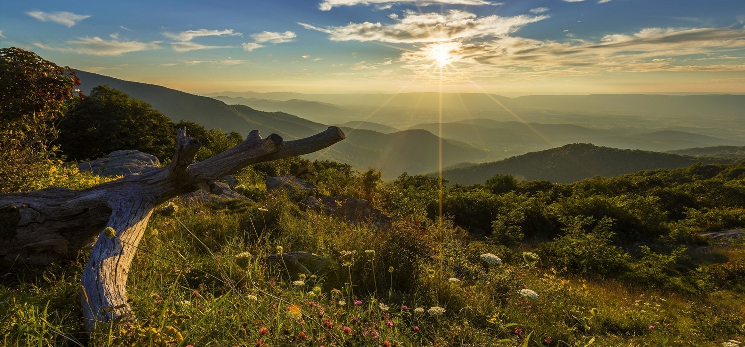 Lohr & Barb Funeral Home & Cremation Services Elkins