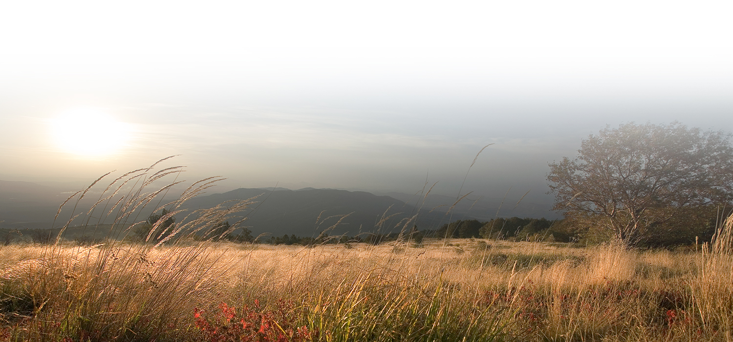 Parow Funeral Home North Arlington, N.J.