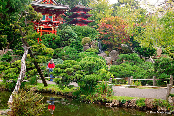 Great Japanese Restaurants In San Francisco Great Japanese Restaurants In San Francisco
